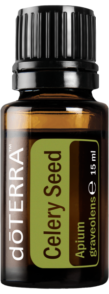 Celery Seed (Selleriesamen) Apium graveolens   15ml. Flasche